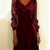 Lucinda | Velvet Sparkle Sleeve Dress
