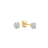 Avianorra | Earrings 18k Gold
